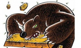 黄金熊,探寻财富与智慧的璀璨之光